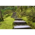 thumbnail image 3 of Moore, Brian 24x17 Black Modern Framed Museum Art Print Titled - Steps II, 3 of 5