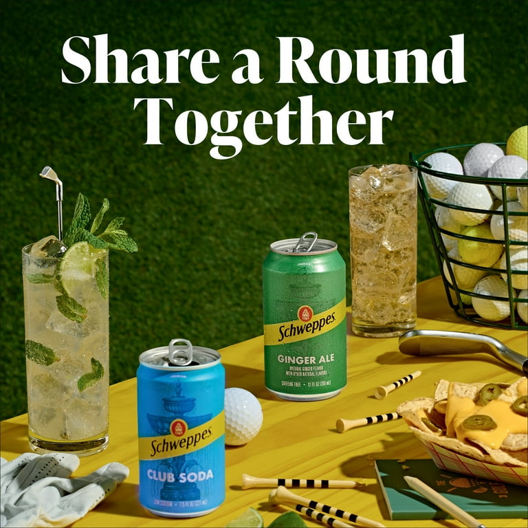 Bold Schweppes Ginger Ale Soda, Refreshing Mini Cans, 7.5 fl oz