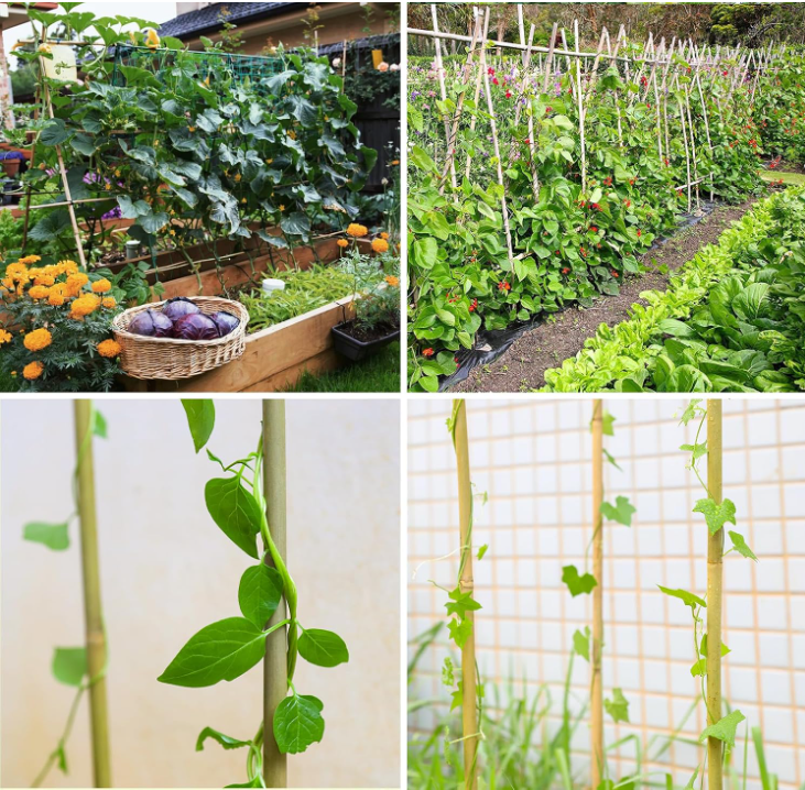 50Pcs Natural Bamboo Plant Stake 7FT, Sturdy Bamboo Poles, Durable Plant Bamboo Stake, Garden Climbing Plant Bracket