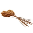 thumbnail image 6 of 35" Grass Dried Plant Natural Foliage Pampas Bouquet with Long Stems, by DecMode, 6 of 8