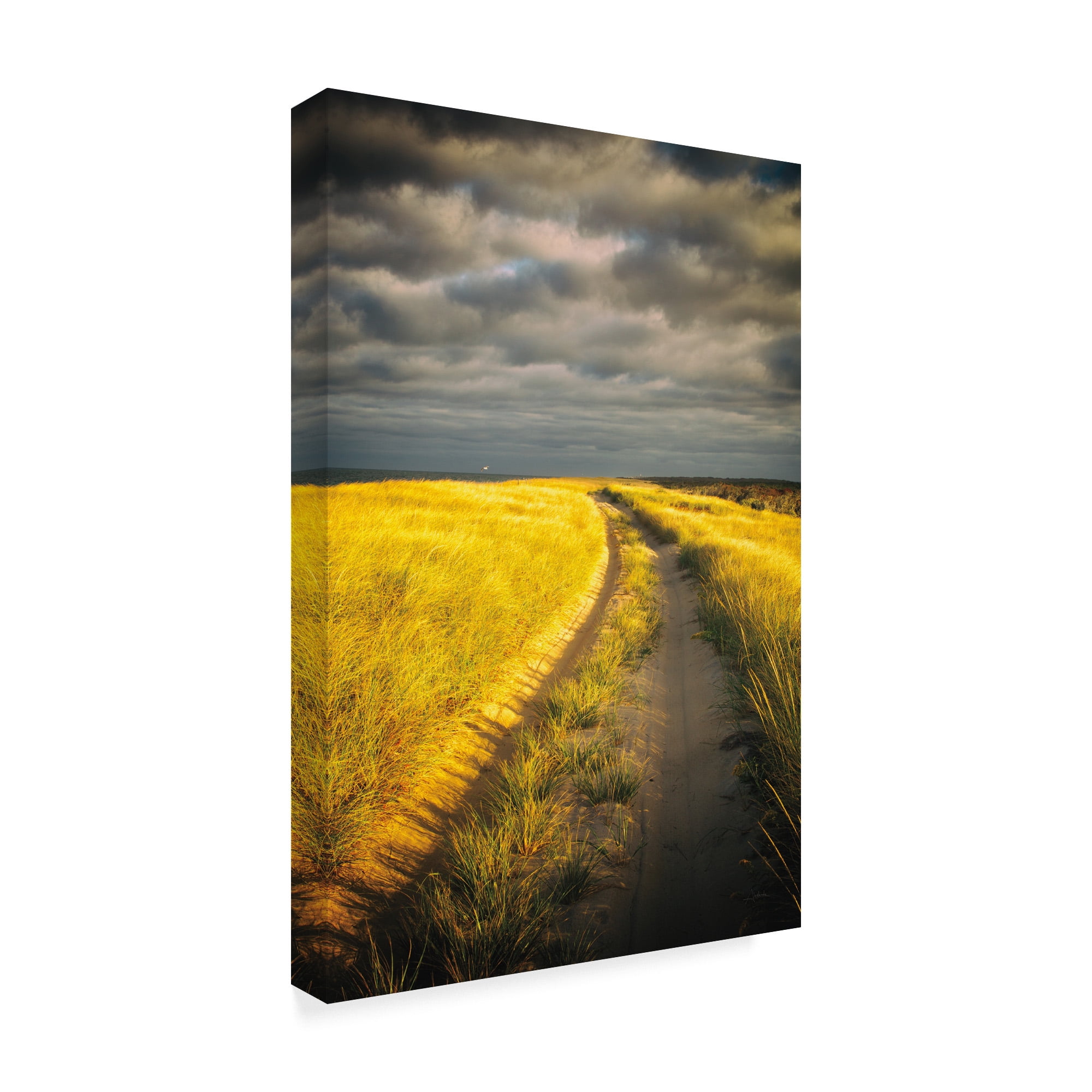 Trademark Fine Art 'Down the Road' Canvas Art by Aledanda