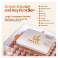 thumbnail image 3 of 56 Egg Incubators for Hatching Eggs, Automatic Egg Turning and Humidity Temperature Control, Egg Candler, 360° Viewing Incubator for Hatching Chicken, , Goose, Quail, 3 of 9