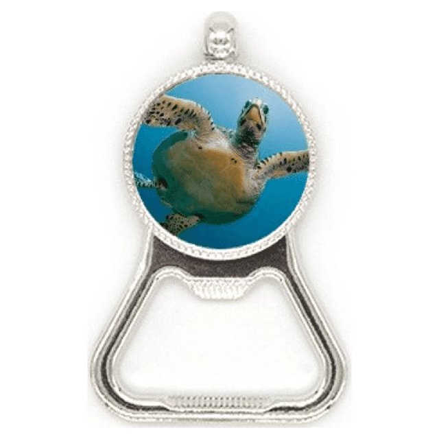 Ocean Blue Water Turtle ciencia naturaleza foto Acero inoxidable Metal cerveza tapa sacacorchos