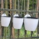 thumbnail image 5 of Inteprter Maceta de resina con colección de agua, contenedor de plantación, maceta colgante para sala de estar, maceta de invernadero Jardín y Patio, 5 of 6