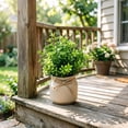 thumbnail image 6 of YiJuHui Artificial Bonsai Potted Plants, Fake Flowers for Home Decor, Lifelike Plastic Greenery in White Planter, Faux Floral Arrangement for Living Room Dining Table Courtyard Decoration, 6 of 6