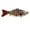 C, variant on Hearth & Gear 3D Fish Hook Realistic Fish Shape Fishing Supplies For Fishing Enthusiasts Descending Device Ice Flag Replacement Trout Tackle Bow Reels Kits Heritage Tip up Donkey Jaw Tackle Stuff for