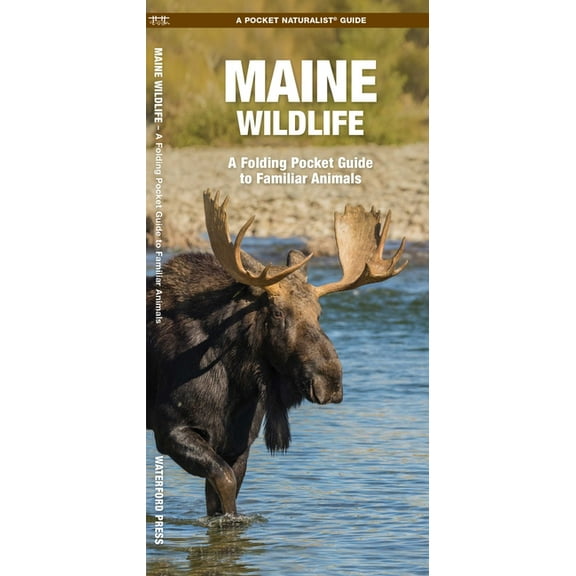 Nature Observation North America Maine Wildlife, (Paperback)