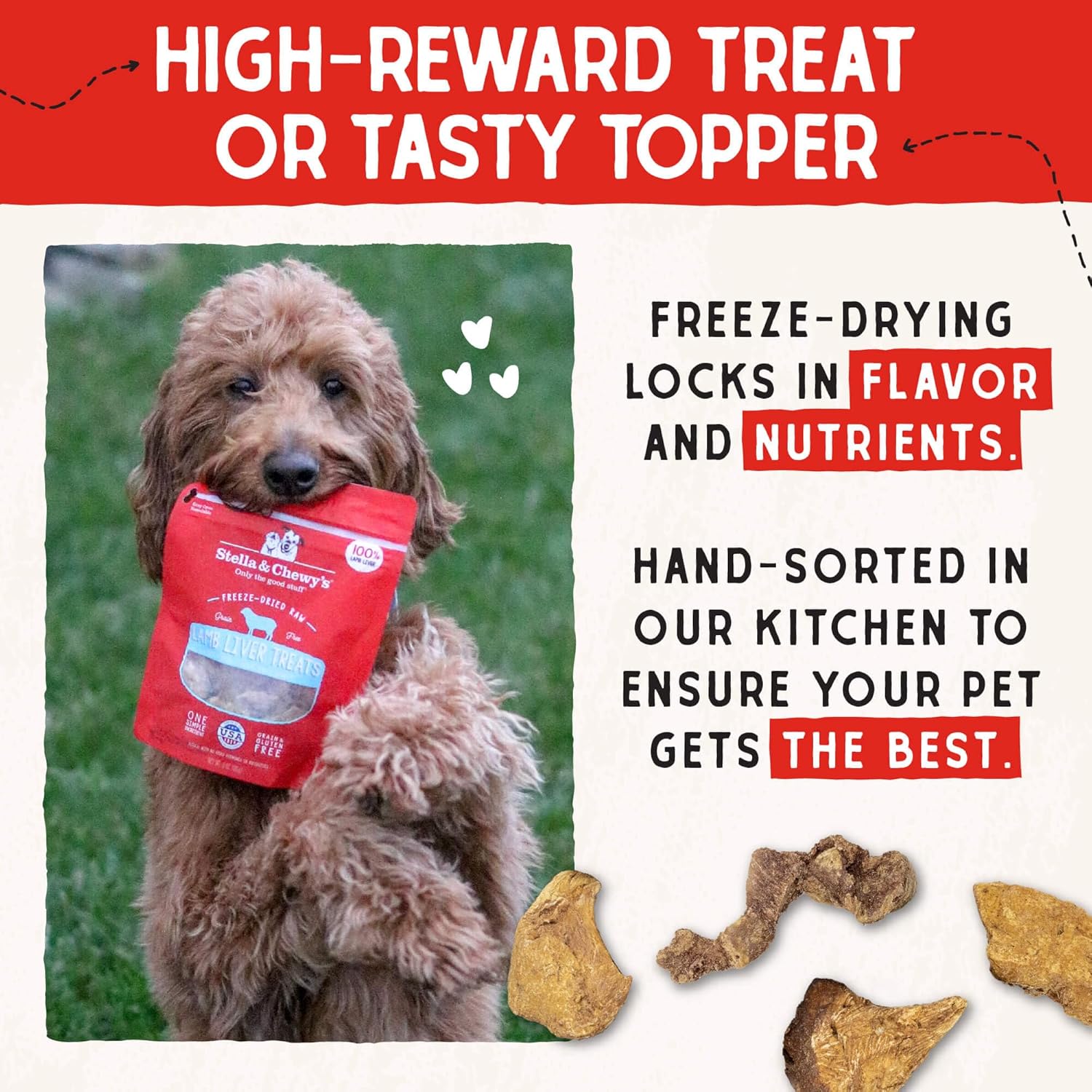Stella & Chewy's Lamb Liver Treats for Dogs - 3 Ounce Bag