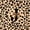 Black Brown J, variant on Castle Fairy Leopard Bow Letter C Black Out Curtains for Girls,Cheetah Print Curtains Pack of 2 (42x63 Each)