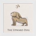 thumbnail image 1 of Great Art Now Bunny Yoga, Upward Dog Pose by Unknown, Framed Wall Art, 14W x 14H, 1 of 3