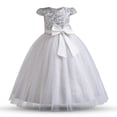 thumbnail image 2 of Vestido TTYAOVO para niña, boda, princesa, vestido de encaje con flores, talla 130, 2 of 7