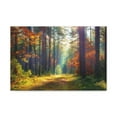 thumbnail image 3 of Autumn Forest Sunlight Shine Orange Tree Nature Wilderness Photography Canvas Wall Art for Home Decor Ready-to-Hang, 3 of 18