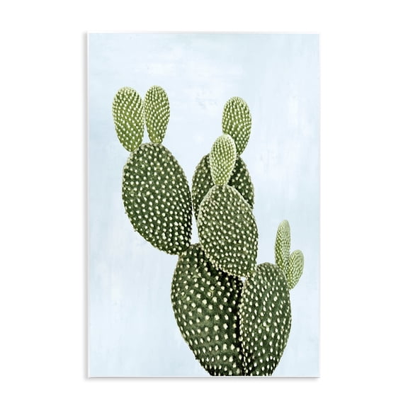 Stupell Industries Bohemian Prickly Pear over Paster Blue Wall Plaque Art, 10 x 15, by Mia Jensen