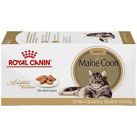 Royal Canin Feline Breed Nutrition Maine Coon Thin Slices In Gravy Wet Cat Food, 12 oz (pack of (Best Cat Breed For Someone With Allergies)