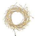 thumbnail image 1 of HOLIDAY TIME PL BO 200 Guirlande LED Blanche Chaude – Éclairage de Noël, 1 of 5