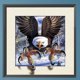 thumbnail image 1 of Cuadros Decorativos 5D bricolaje taladro cuadrado completo diamante pintura águila Kit hogar decoración arte artesanía Wdftyju embutido en tela, 1 of 1