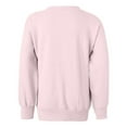 thumbnail image 3 of Hanes ComfortBlend EcoSmart Boy`s Crewneck Sweatshirt, M, Pale Pink, 3 of 3