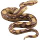 thumbnail image 1 of Juguete de serpiente de goma falsa de simulación, modelo de pitón, accesorios de broma espeluznantes para jardín, 1 of 5