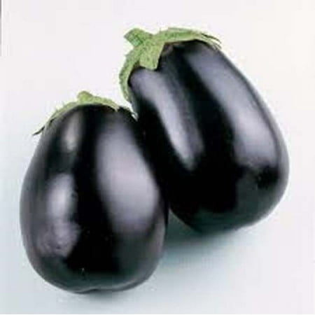 Eggplant Black Beauty Great Heirloom Vegetable 1,300
