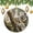 pattern-3241, variant on Ceramic Christmas Ornament Wildlife Forest Animals Baby Hedgehog Christmas Decorations Ornament Christmas Tree Gifts Gift Ideas for Home Decor Ittle Hedgehogs In Love Under Umbrella Ornament