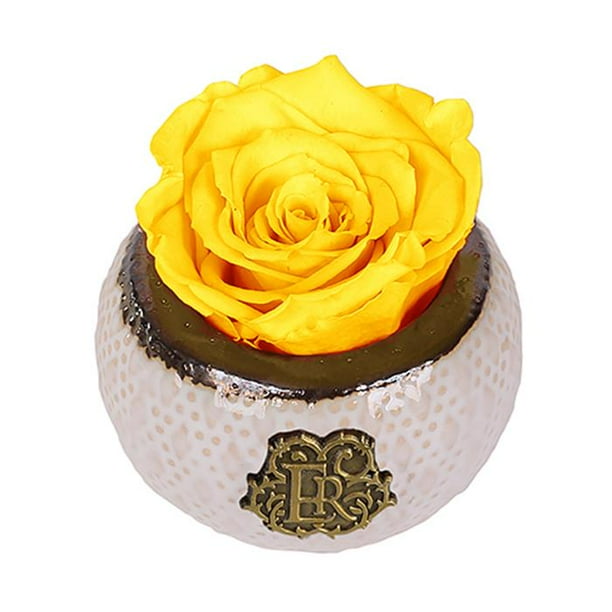 Gifts Plaza D Luxury Long Lasting Roses In A Box Preserved Flowers Mini Soho 3 Yellow Walmart Com Walmart Com