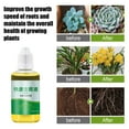thumbnail image 6 of ToyKingdee Plant Root Stimulator, Rooting Hormone, Root Growth Enhancer, Plant Rooting Promoter Liquid Helps Grow New Plants from Cuttings, 6 of 9