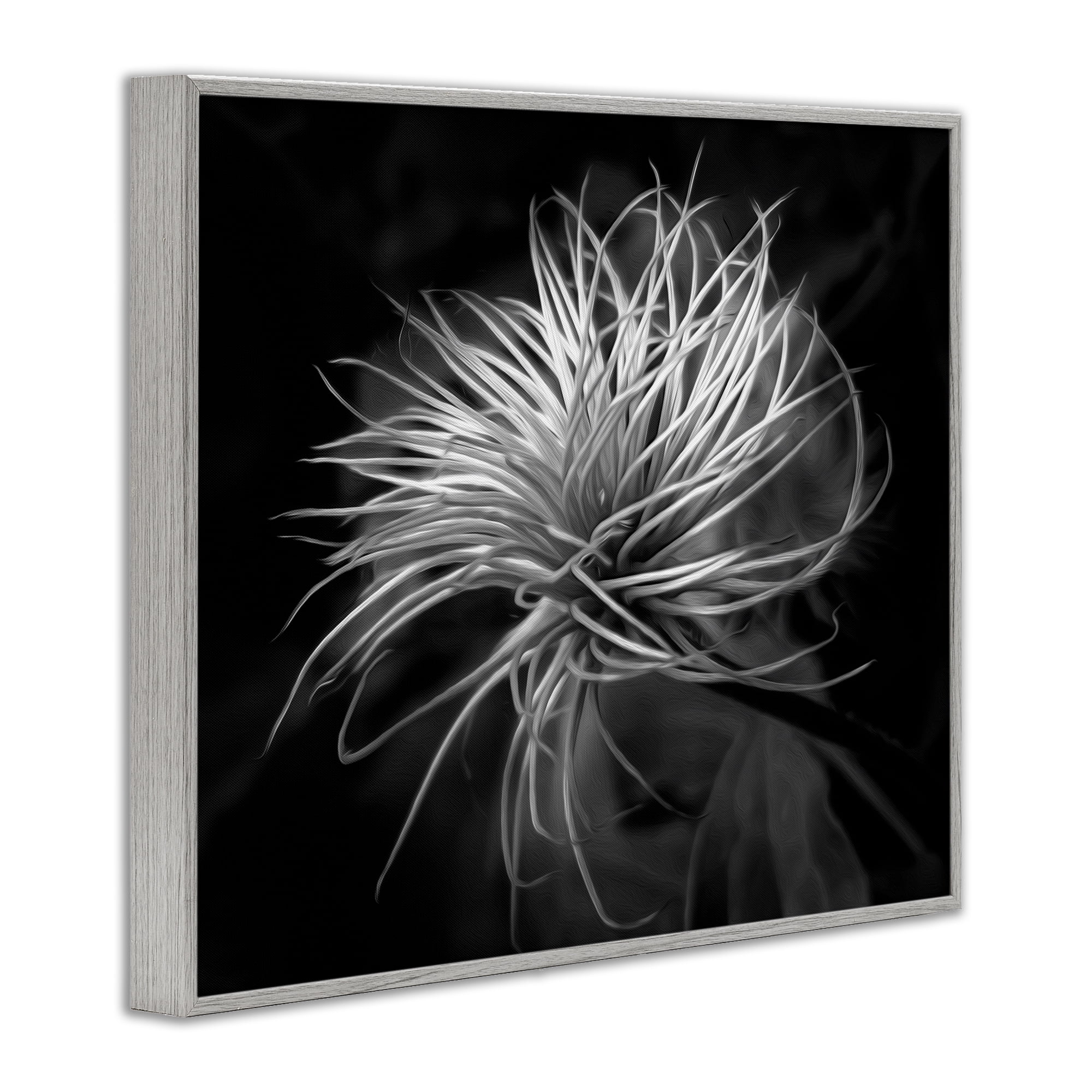 Twisting Botanical Leaves Contrast Gray Framed Giclee Art, design by Phillip Flowers