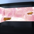 thumbnail image 2 of Pink Marble Aquarium Background, Art Abstract Pink Gold Line Marble Terrarium Background, Coloful Marble Glass Terrarium Background with 8 EVA Double-Sided Tape, 36X20IN, 2 of 5