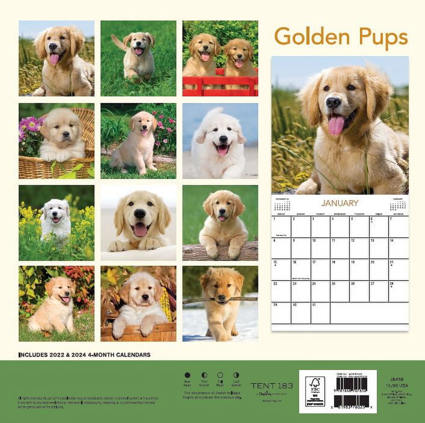 2023 - 12 Month Calendar-Golden Pups 12x12 Hanging Wall Calendar by DaySpring