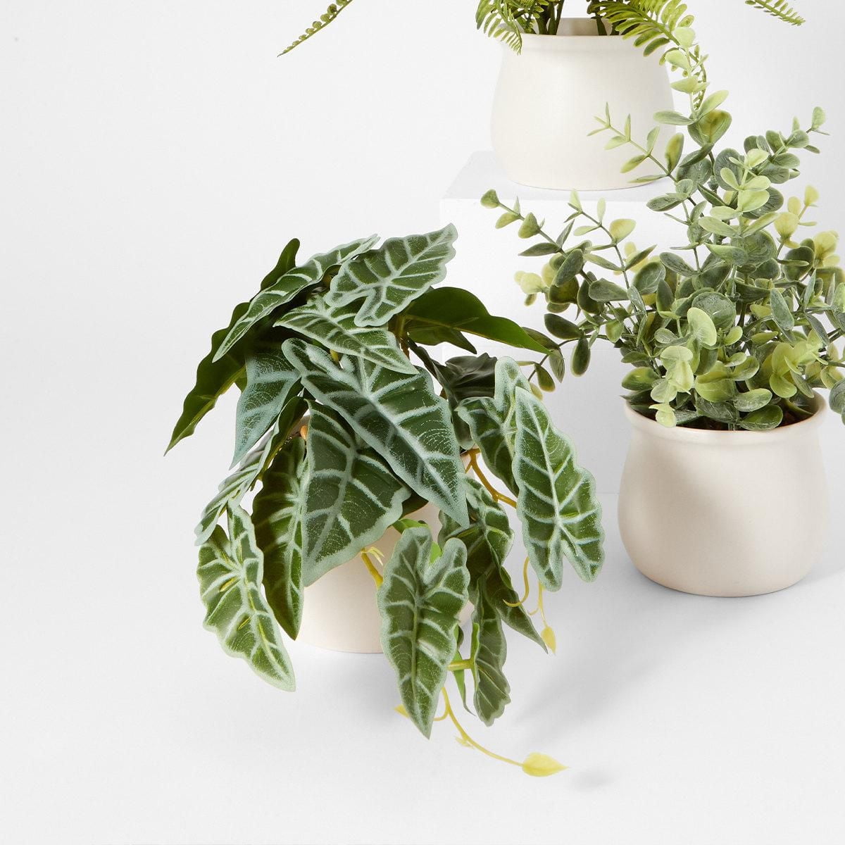 Anko Alocasia artificielle dans un pot en céramique