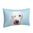 thumbnail image 2 of Bingfone Puppy Licks Nose Standard Size Pillowcase, Long Staple Pure Cotton Envelope Closure Pillow Cover,20"X30", 2 of 9