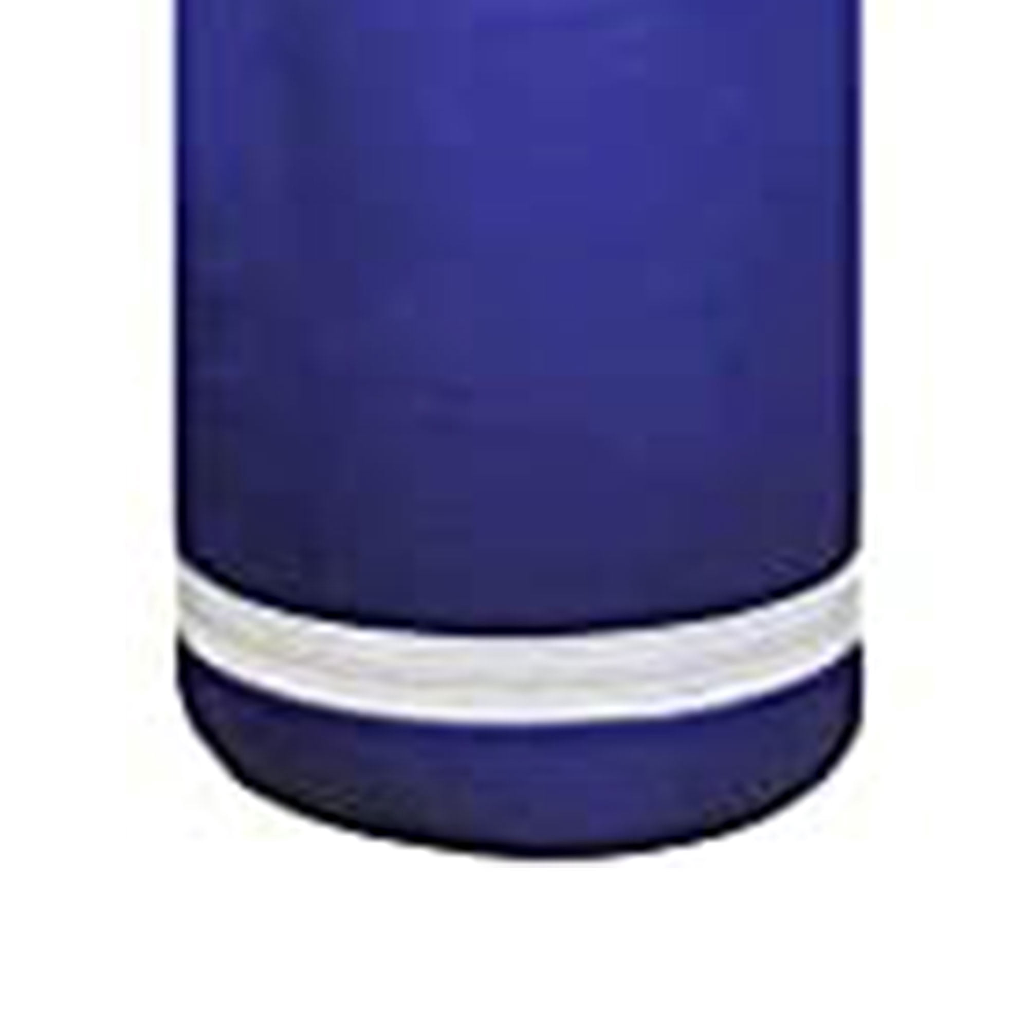 PROLAST 100 Lb Boxing Training Filled Heavy Hanging Punching Bag, Blue