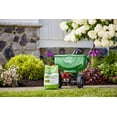 Scotts Lawn Moss Control Granules, EasytoUse Shaker Jug, 18.37 lbs