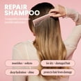 thumbnail image 5 of MONDAY Haircare REPAIR Shampoo Nourishes Dry Damaged Hair, Keratin, Coconut Oil, 12 fl oz, 5 of 13