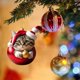 thumbnail image 1 of Adornos navideños de gato, acrílicos, con gorro de Papá Noel, bola de gato de dibujos animados, 2D, plano, para árbol de Navidad, para ventana de coche y bolso., 1 of 1