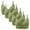 Green-01, variant on 5PC Womens Bras, Simple Solid Color Bras, Soft Cup Comfy Everyday Wear