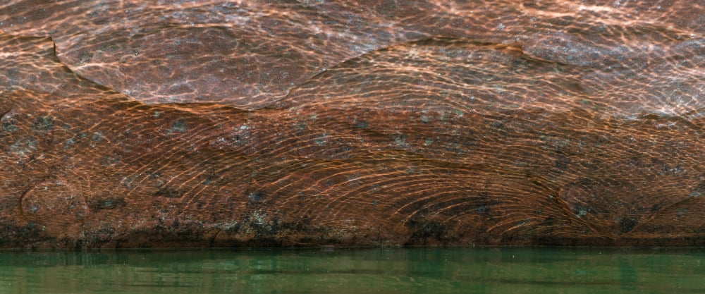 Reflection On Rock