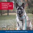 thumbnail image 3 of Collar para perro Coastal K-9 Explorer reflectante ajustable 1.6x25-36 cm, 3 of 7