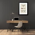 thumbnail image 4 of Anonymous 16x24 Black Modern Framed Museum Art Print Titled - Mounted Natural Butterflies (1913), 4 of 5