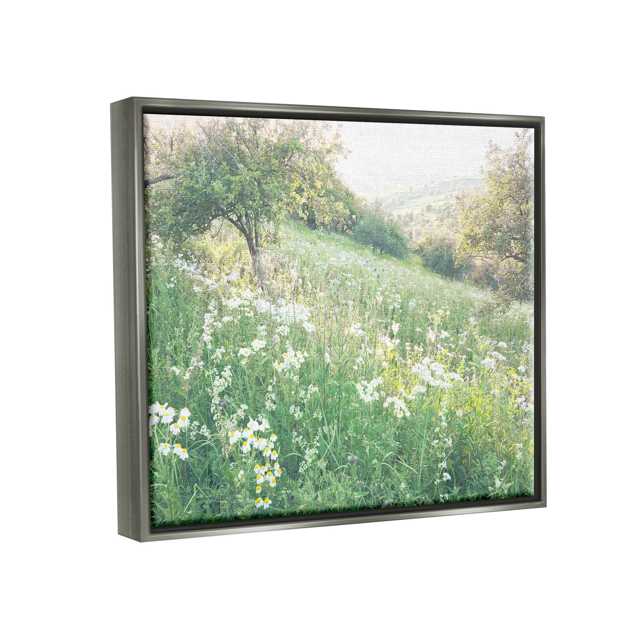 Spring Meadow Grassland Field Landscape Photograph Luster Gray Framed Art Print Wall Art