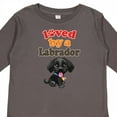 thumbnail image 4 of Inktastic Labrador Retriever Dog Black Lab Boys or Girls Long Sleeve Toddler T-Shirt, 4 of 5