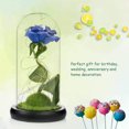 thumbnail image 3 of Lámpara De Rosa De Simulación, Rosa Inmortal, La Bella Y La Bestia, Linterna De Rosa, Flor Eterna, Cubierta De Cristal, Decoración, Decoración De Luz Rosa Guardurnaity HA026722-03, 3 of 5