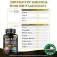 thumbnail image 4 of Nutri Nation Shilajit Supplement with Ashwagandha, Rhodiola Rosea, Panax Ginseng, 60 Capsules, 4 of 9