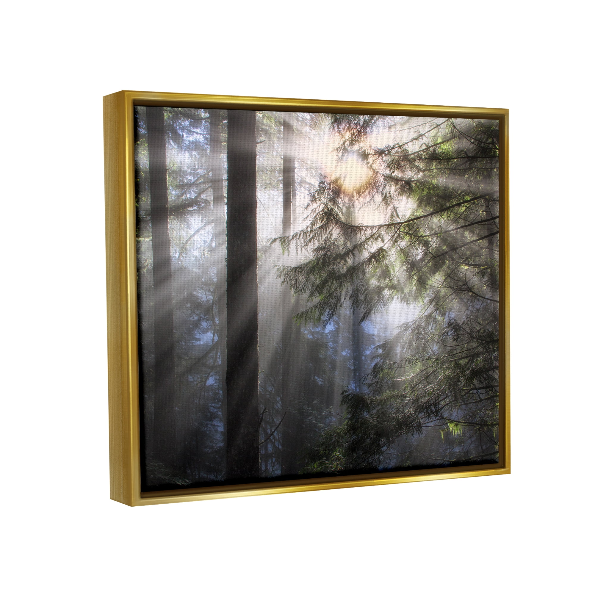 Stupell Industries Forest Sun Rays Nature Scenery Landscape Photography Gold Floater Framed Art Print Wall Art