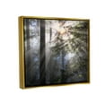 thumbnail image 3 of Stupell Industries Forest Sun Rays Nature Scenery Landscape Photography Gold Floater Framed Art Print Wall Art, 3 of 6
