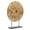 Brown Handmade Solid Abstract Round 22" x 6" x 29", variant on 22" x 29" Brown Plastic Rattan Handmade Abstract Sculpture with Black Stand, by DecMode