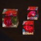thumbnail image 5 of Gwong Juguete 1 caja colorido flor seco planta bricolaje vela resina joyería haciendo artesanía decoración Gwong 30007603, 5 of 7