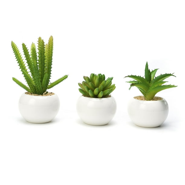 Modern Mini Artificial Succulent Plants Potted in Round White Ceramic Pots for Home Decor,Set of