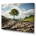 thumbnail image 2 of Designart "Green Tree In landscape" Landscape Trees Canvas Wall Art, 2 of 5