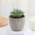 thumbnail image 2 of Small Fake Plants Realistic Lifelike Artificial Potted Succulents, Mini Durable Plastic 2.7x2.6x2.6 in with Pot Faux Plants for Home Office, Kitchen, and Indoor Table Decor, 2 of 6